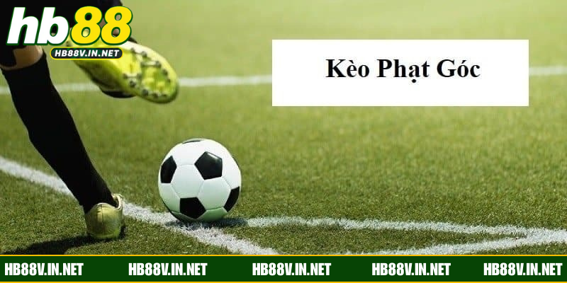 Khám phá nhanh về kèo phạt góc đỉnh cao 2026